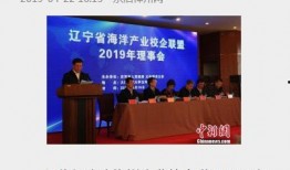 辽宁最新爆料新闻报道,揭秘重大事件背后真相